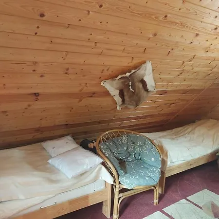 Lodge W Lesie U Grazynki